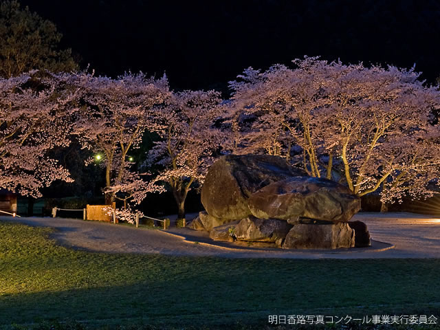桜の季節 石舞台