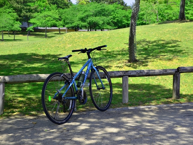 Rental bicycles