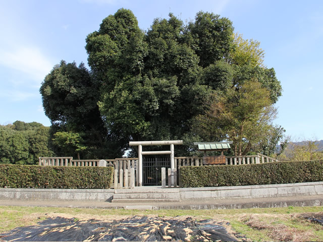吉備姫王墓