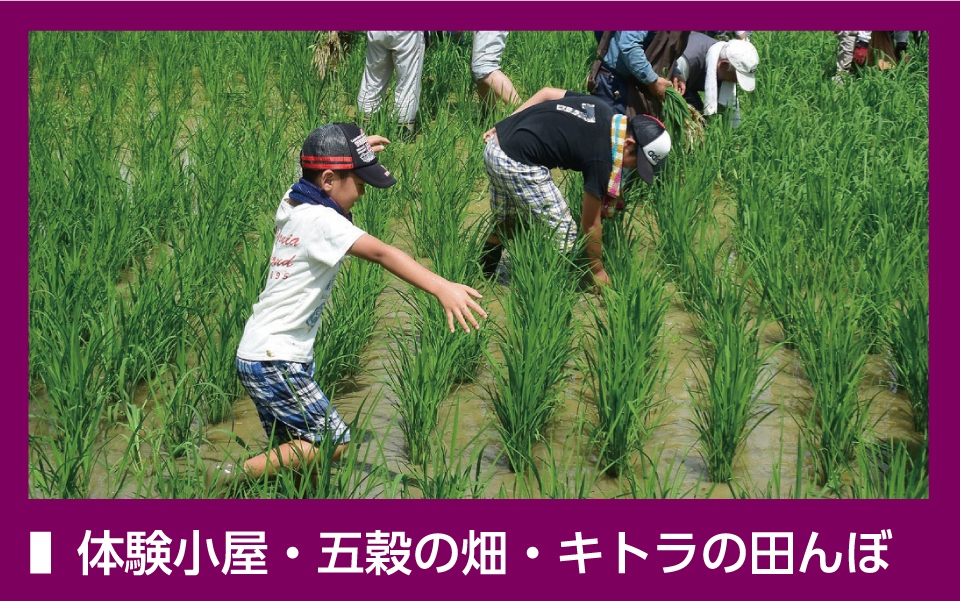 体験小屋・五穀の畑・キトラの田んぼ