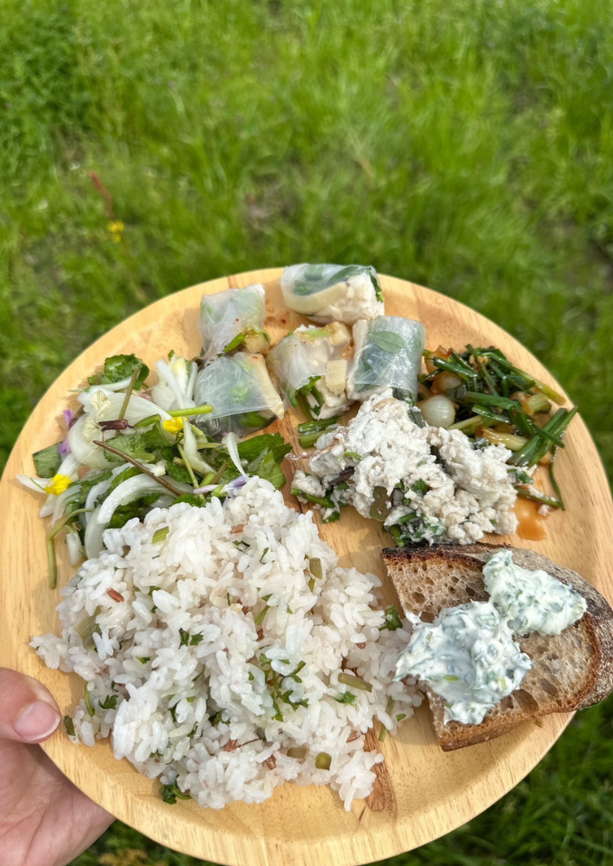 キトラの谷の摘み草・山菜お料理会