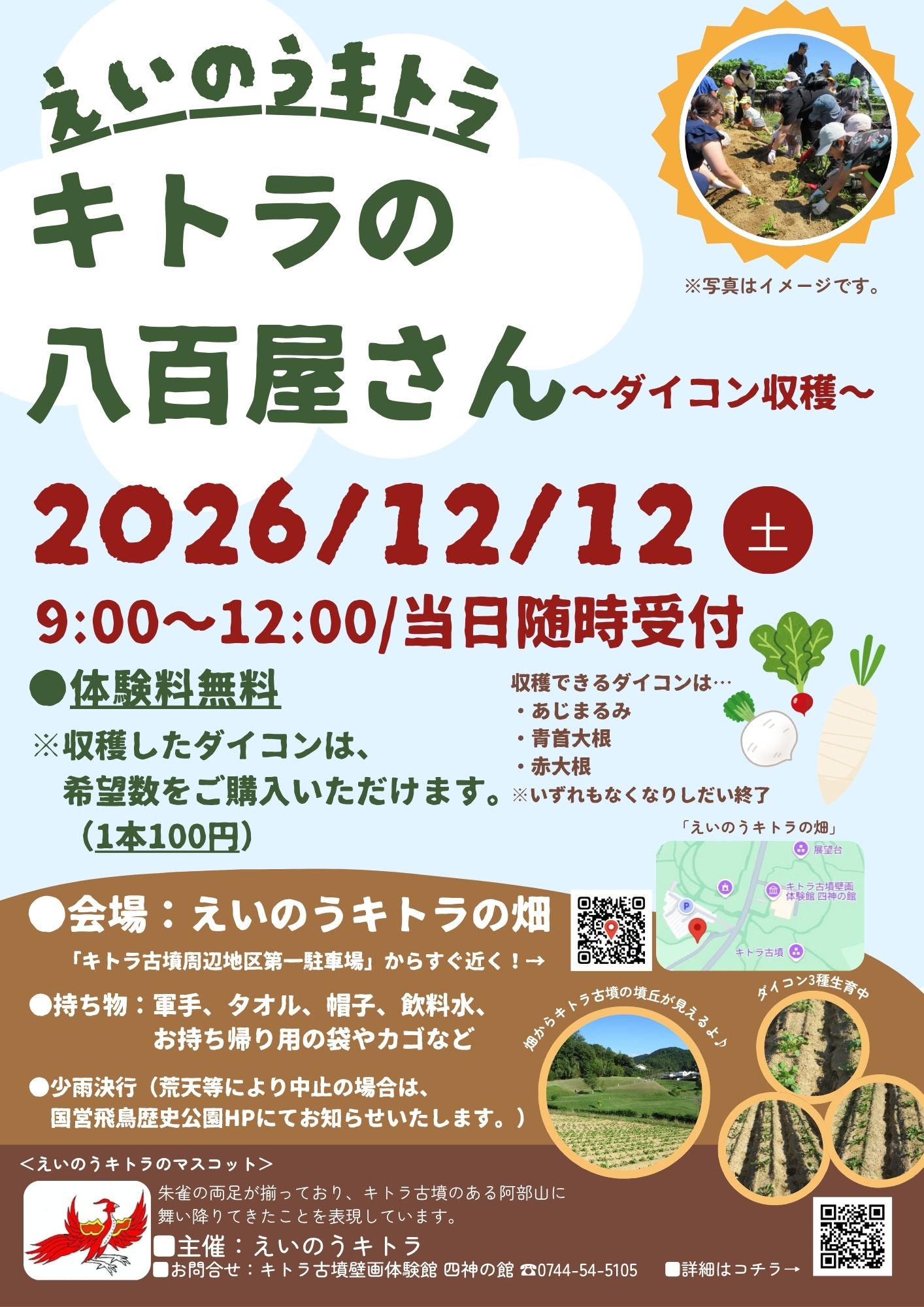 キトラの八百屋さん～ダイコン収穫～