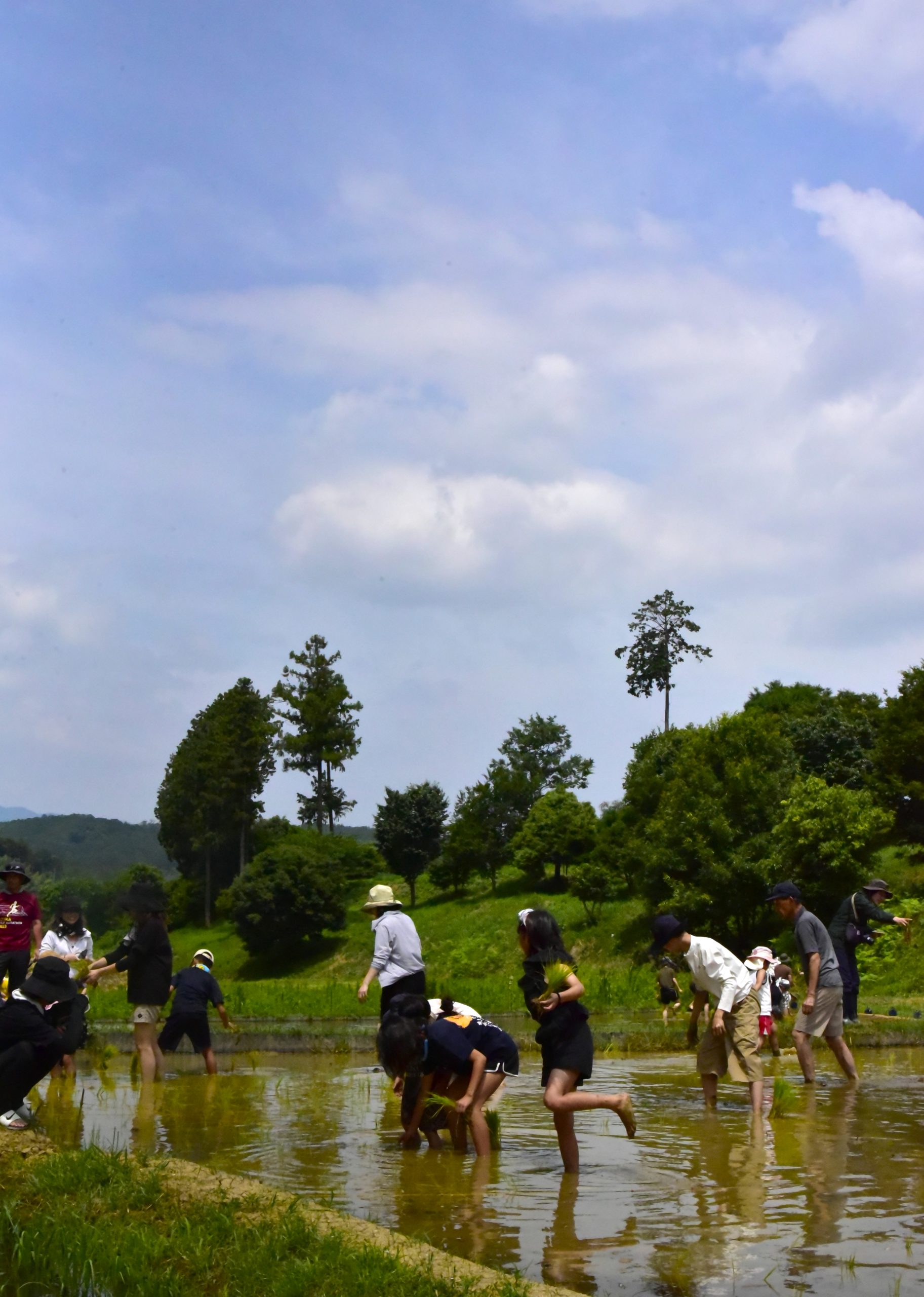 あすか田植え祭り2026