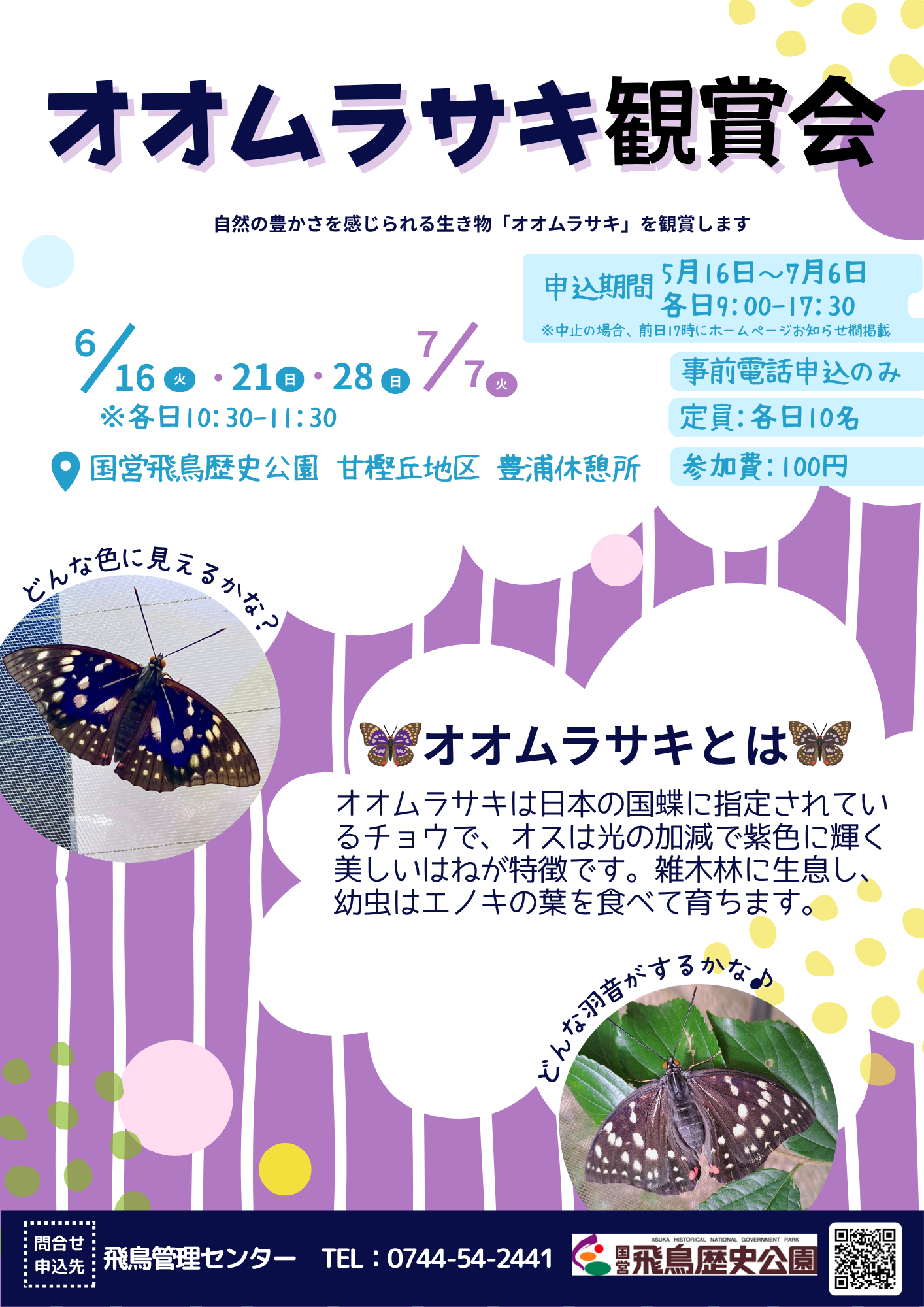 オオムラサキ観賞会（6・7月）