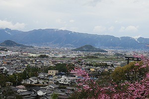 02.jpg