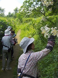 03.jpg