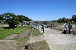 03.jpg
