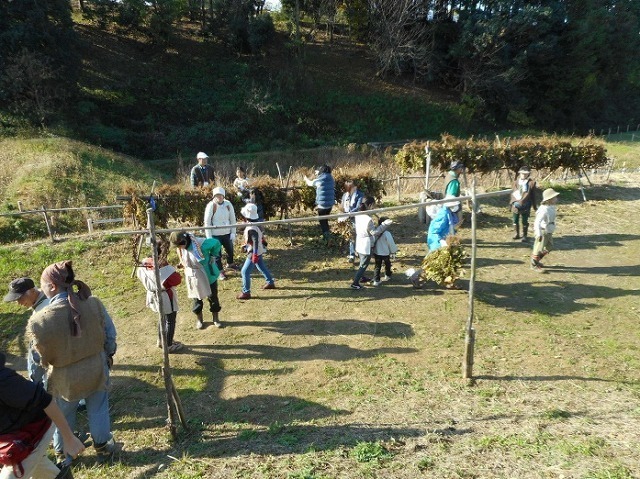 04.jpg