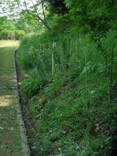 04.jpg