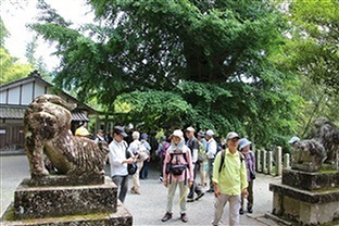 04.jpg
