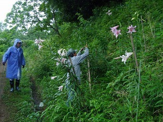 04.jpg