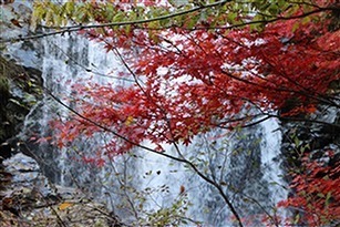 04.jpg