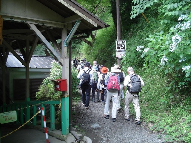 04.jpg