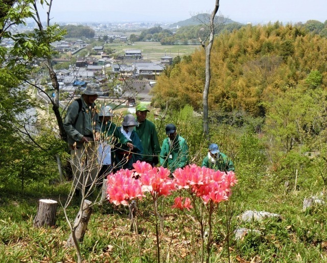 0419写真1.jpg
