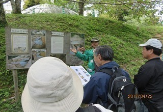05.jpg