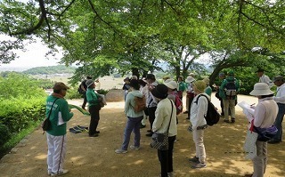 05.jpg