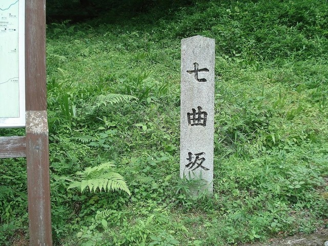 05.jpg