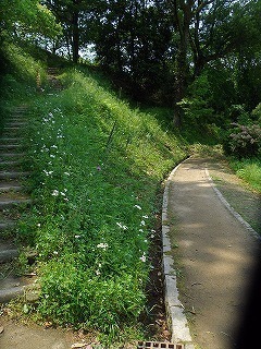 05.jpg