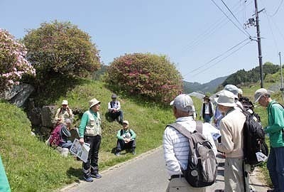 05.jpg