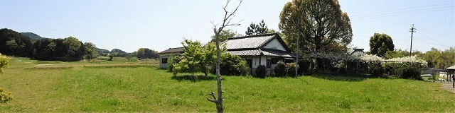 05.jpg