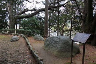 05.jpg