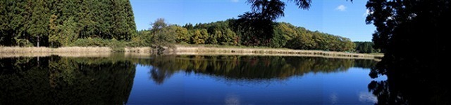 05.jpg