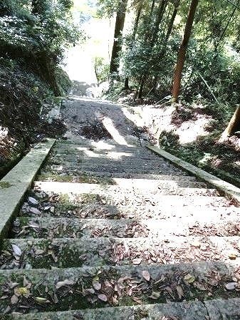 05.jpg