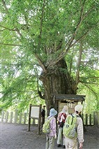05.jpg