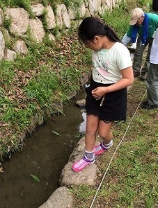 05.jpg