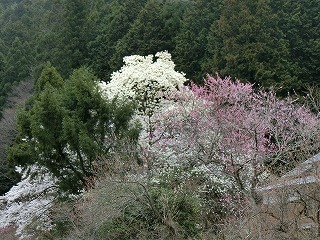 06.jpg
