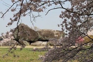 06.jpg