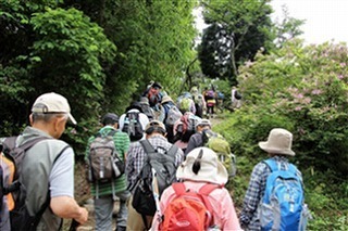 06.jpg