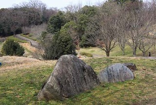 06.jpg