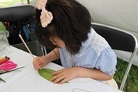 06.jpg