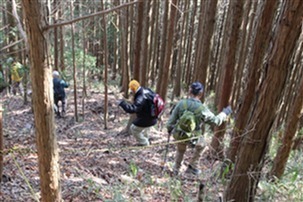 06.jpg