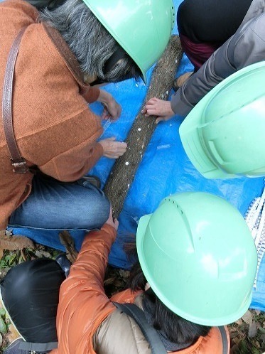 06.jpg