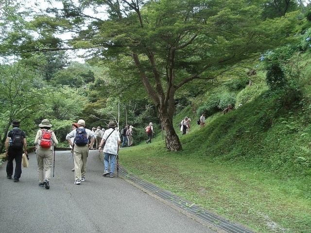 06.jpg