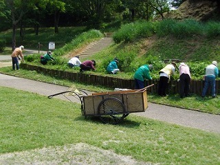 06.jpg