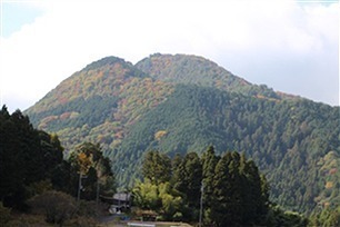 06.jpg