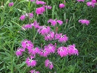 0622-7.jpg