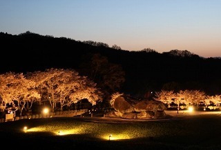 07.jpg
