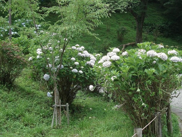 08.jpg