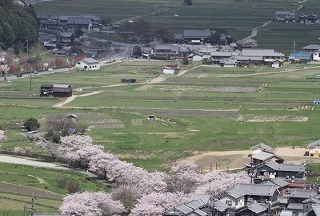 08.jpg