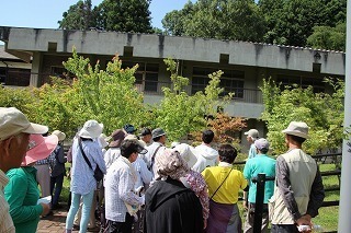 09.jpg