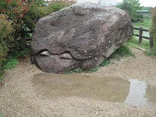 09.jpg