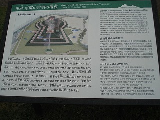 14.jpg