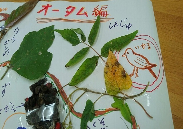 17.jpg