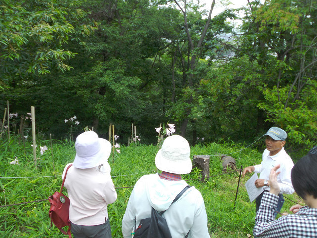 20160605 (17).jpg