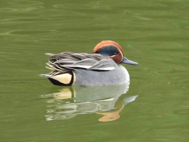 DSCN2558.jpg