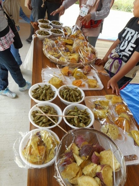 キトラ07.jpg